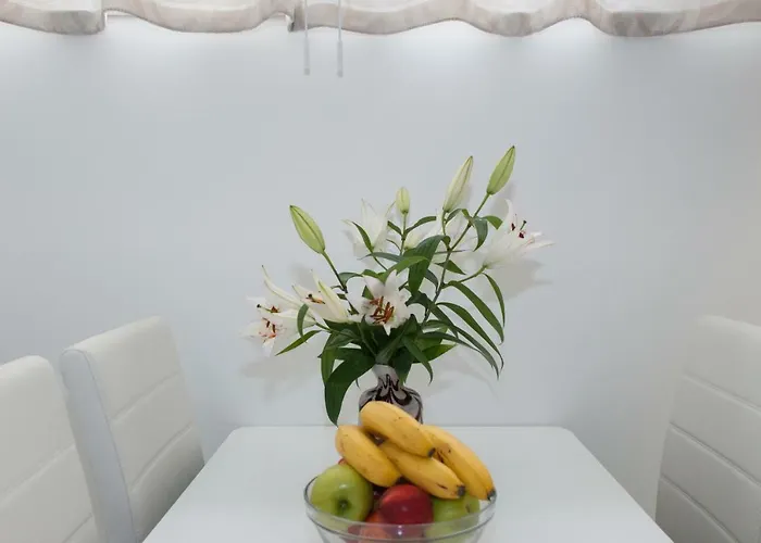 Apartments Leverkusen City شقة ليفركوزن